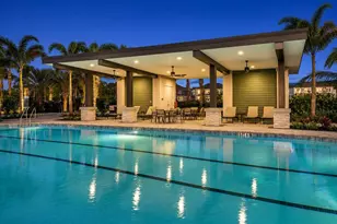 33320 Castaway Loop, Wesley Chapel, FL 33543 - Photo 17
