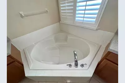 14252 Confetti Drive, Windermere, FL 34786 - Photo 69