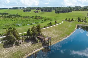 3644 Solana Cir, Clermont, FL 34711 - Photo 69