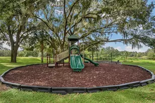 24215 Weldon Dr, Eustis, FL 32736 - Photo 53