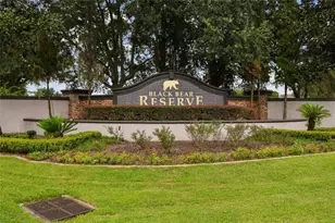 24215 Weldon Dr, Eustis, FL 32736 - Photo 47