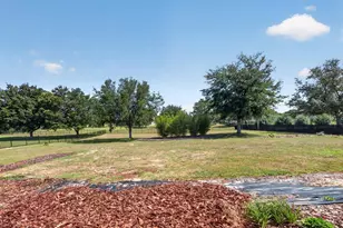 24215 Weldon Dr, Eustis, FL 32736 - Photo 43