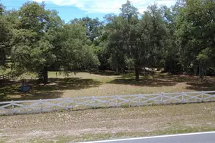 34847 County Rd 439, Eustis, FL 32736 - Photo 5