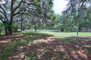 34847 County Rd 439, Eustis, FL 32736 - Photo 3