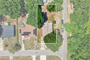 529 E Gottsche Ave, Eustis, FL 32726 - Photo 25