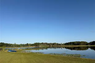 40143 Babb Rd, Umatilla, FL 32784 - Photo 31