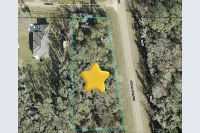 4815 Faith Street, Hastings, FL 32145 - Photo 11