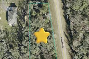 4815 Faith St, Hastings, FL 32145 - Photo 11