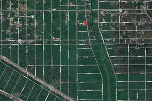 4815 Faith St, Hastings, FL 32145 - Photo 15