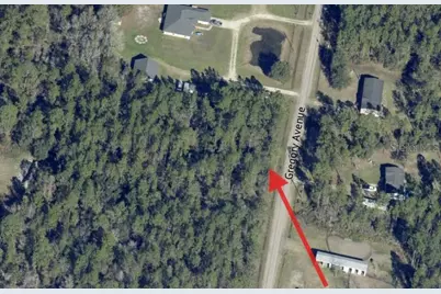 10315 Gregory Avenue, Hastings, FL 32145 - Photo 17