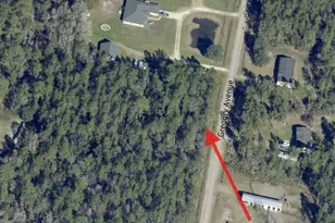 10315 Gregory Ave, Hastings, FL 32145 - Photo 17
