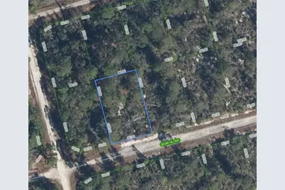 3049 Cedar Hill Avenue, Lake Placid, FL 33852 - Photo 11