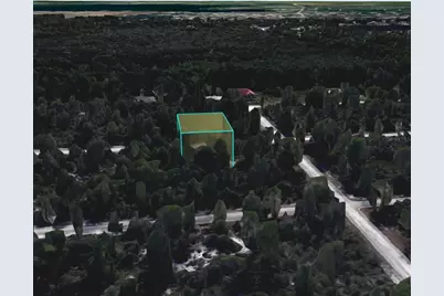 3049 Cedar Hill Avenue, Lake Placid, FL 33852 - Photo 9