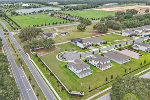 2985 Water Clover Ct, Apopka, FL 32712 - Photo 59