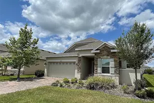 8021 Olive Brook Dr, Wesley Chapel, FL 33545 - Photo 1