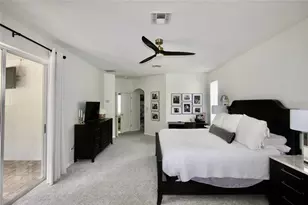 9041 Laurel Ridge Dr, Mount Dora, FL 32757 - Photo 9