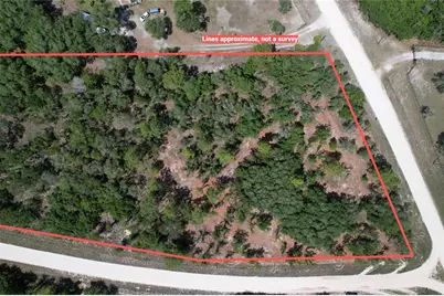 Se 53rd Lane, Morriston, FL 32668 - Photo 9