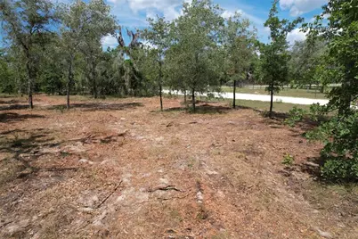 Se 53rd Lane, Morriston, FL 32668 - Photo 1