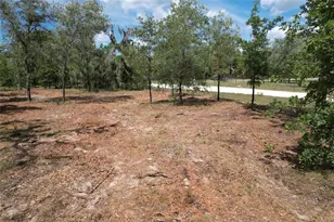 SE 53rd Ln, Morriston, FL 32668 - Photo 1