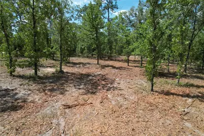 Se 53rd Lane, Morriston, FL 32668 - Photo 5