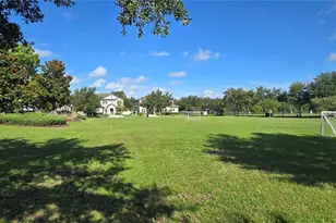 17514 Black Rail St, Windermere, FL 34786 - Photo 41