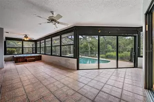 3817 Nicholas Ct, Tarpon Springs, FL 34688 - Photo 39