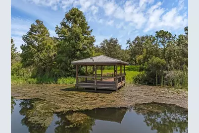 4718 Blue Major Drive, Windermere, FL 34786 - Photo 37