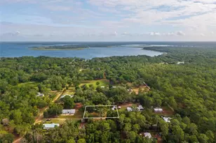 23939 NE 121st Ln, Salt Springs, FL 32134 - Photo 21