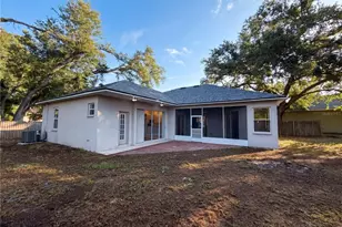 203 Taylor Bay Ln, Brandon, FL 33510 - Photo 5