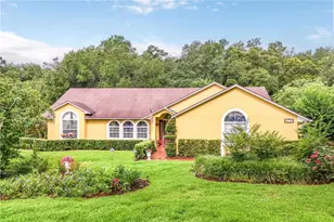 22733 Stallion Dr, Sorrento, FL 32776 - Photo 39