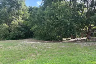 3945 N Citrus Cir, Zellwood, FL 32798 - Photo 19