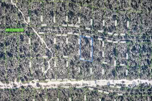 2137 Bird Of Paradise Ave, Sebring, FL 33875 - Photo 1