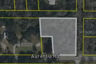 4060 Aurantia Rd, Mims, FL 32754 - Photo 1