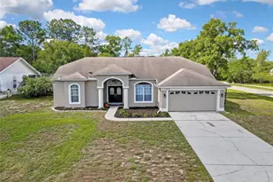 13290 Don Loop, Spring Hill, FL 34609 - Photo 53