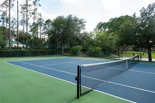 12633 Haddon Dr, Windermere, FL 34786 - Photo 47