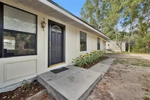 42146 Pine Valley Dr, Paisley, FL 32767 - Photo 3