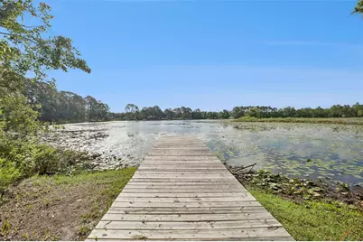 42146 Pine Valley Drive, Paisley, FL 32767 - Photo 43