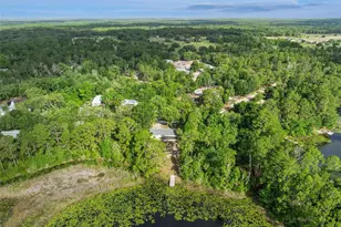 42146 Pine Valley Dr, Paisley, FL 32767 - Photo 47