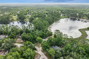 42146 Pine Valley Dr, Paisley, FL 32767 - Photo 57