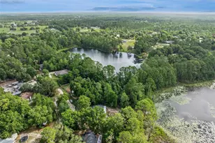 42146 Pine Valley Dr, Paisley, FL 32767 - Photo 53