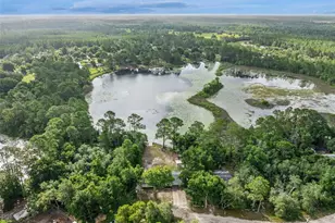42146 Pine Valley Dr, Paisley, FL 32767 - Photo 49