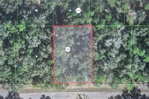 593 E Malaga Ln, Dunnellon, FL 34434 - Photo 1