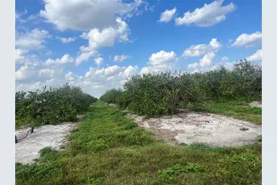 Ne Hwy 70, Arcadia, FL 34266 - Photo 1