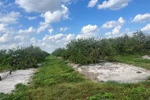NE Hwy 70, Arcadia, FL 34266 - Photo 1