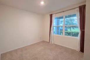 5268 Greenheart Ave, Mount Dora, FL 32757 - Photo 17
