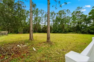 14728 Henson Rd, Orlando, FL 32832 - Photo 29