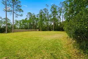14728 Henson Rd, Orlando, FL 32832 - Photo 13