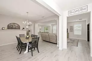 2666 Ginseng Ivy St, Apopka, FL 32703 - Photo 9