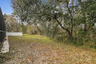 11 Carnation Ct E, Homosassa, FL 34446 - Photo 55