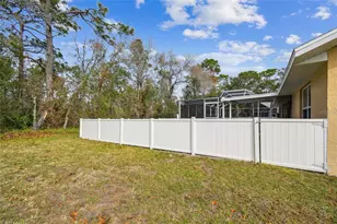 11 Carnation Ct E, Homosassa, FL 34446 - Photo 59